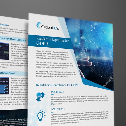 Clean and elegant design flyer for Global IDs