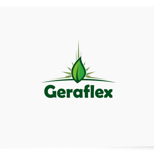 New Logo Design wanted for Geraflex