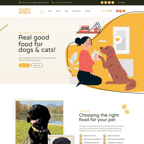 FuryChefs - Food for Dogs & Cats - Website design