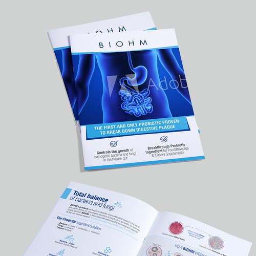 Brochure Design