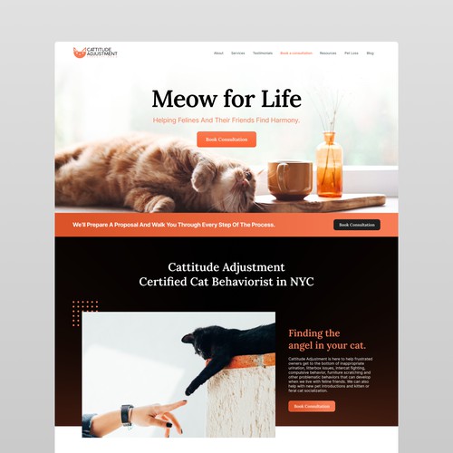 Website for Cat Behavior Consultant