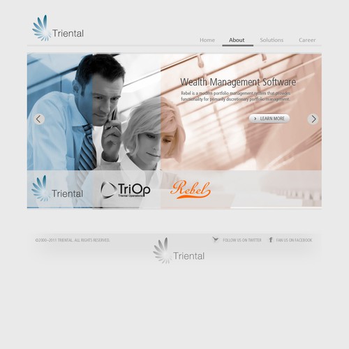 Triental needs a new website design