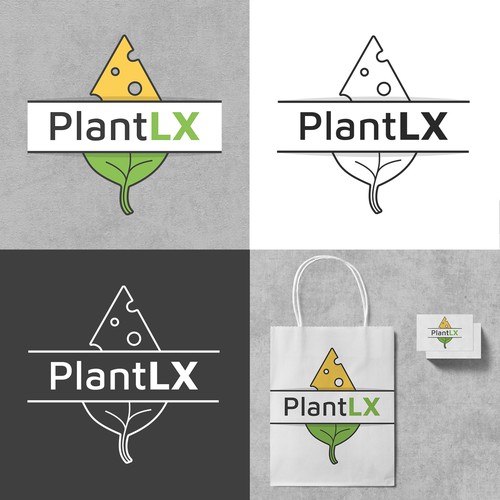 Concept for a company developing cheese out of plants