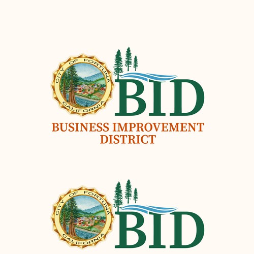 Business Improvement District