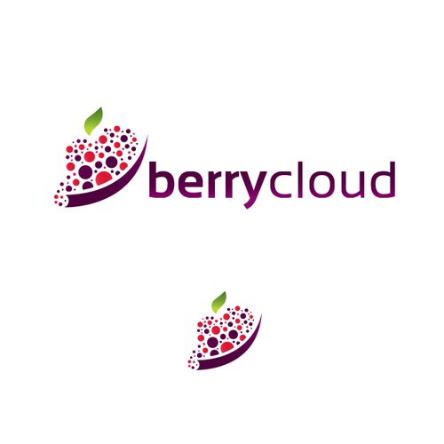 Create a professional brand for berrycloud software