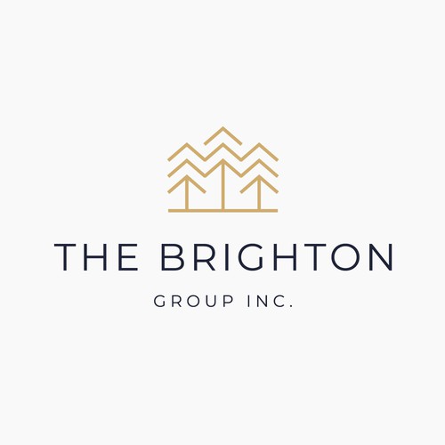 The Brighton Group Inc.