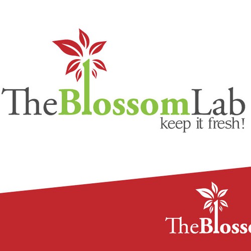 The Blossom Lab needs a new set of pixels!