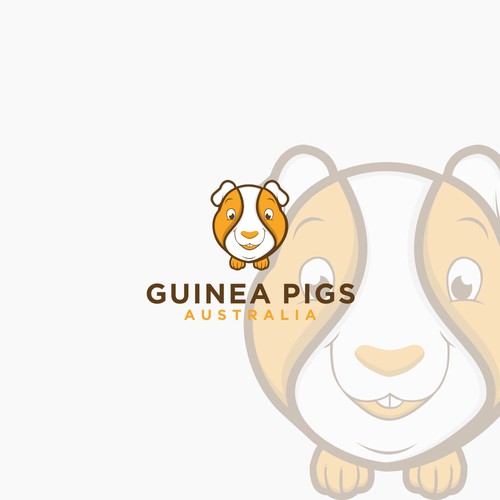 Guinea Pigs Australia