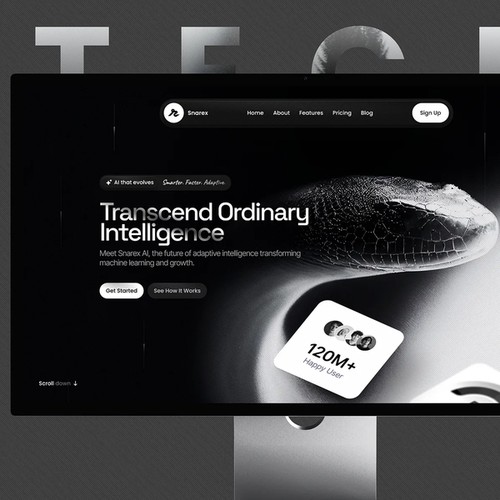 Snarex || Web Design