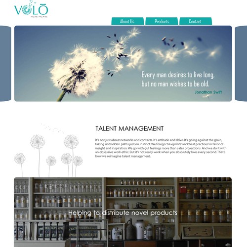 Website for VOLO