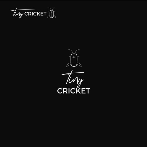 A design-forward logo for TinyCricket