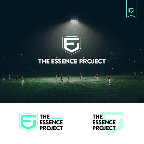 The Essence Project
