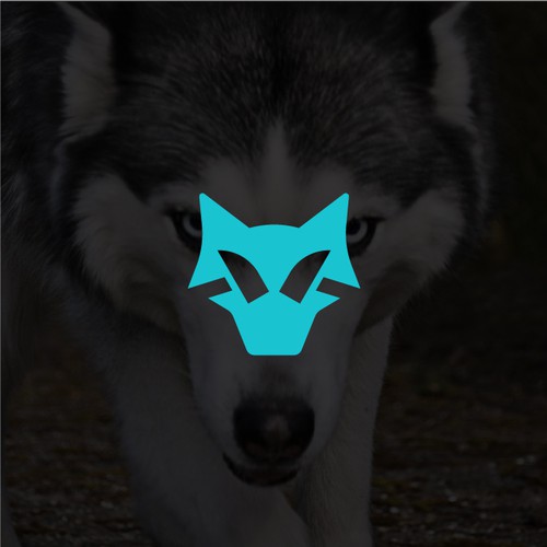 Hammerwolf Capital 