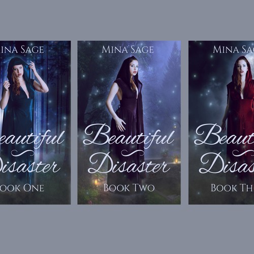Beautiful Disaster Series