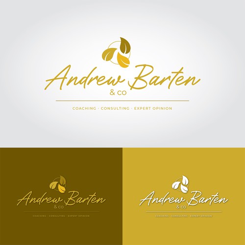 Signature style logo design for coaching company