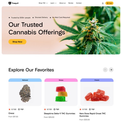 Website UI Design