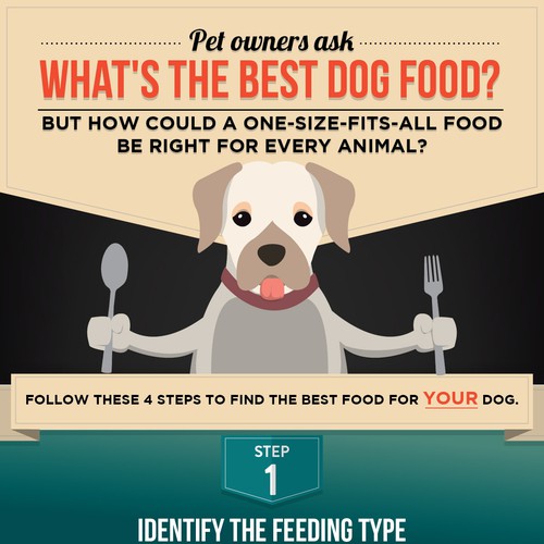 What is the best dog food?