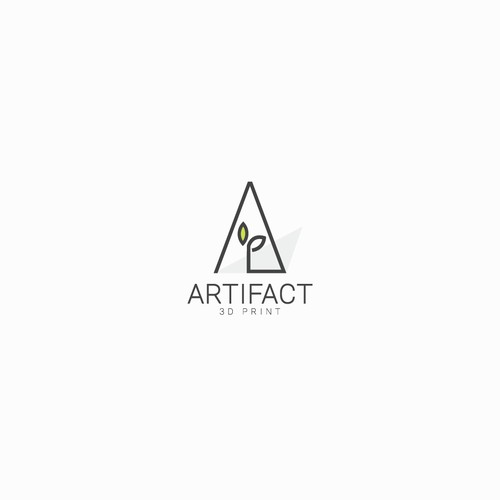 Artifact