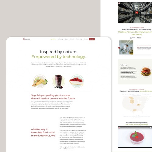 Website redesign
