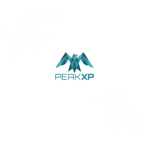 Modern geometric logo for PeakXp