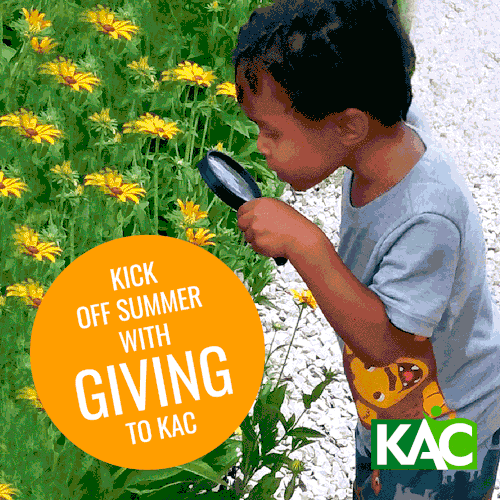 Facebook Ad Creative to receive donations