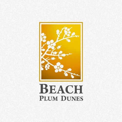 Beach Plum Dunes