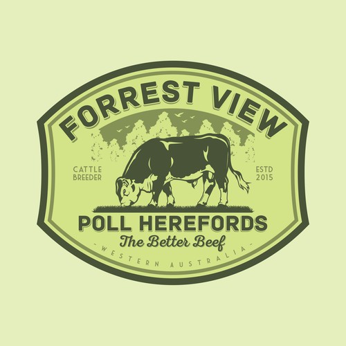 forrest view