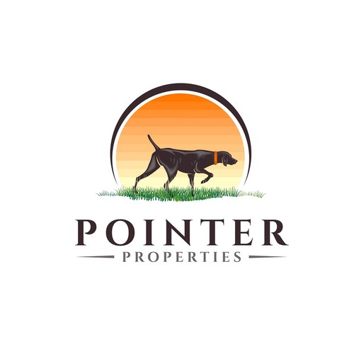 Pointer Properties