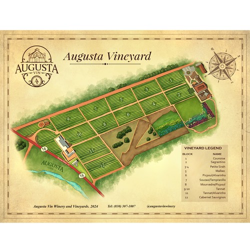 Augusta Vineyard