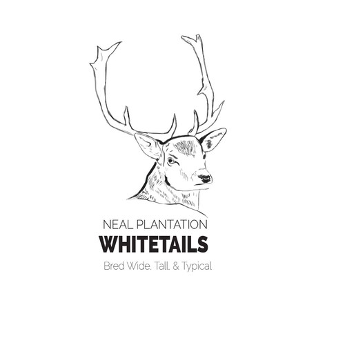 Whitetails logo attempt 