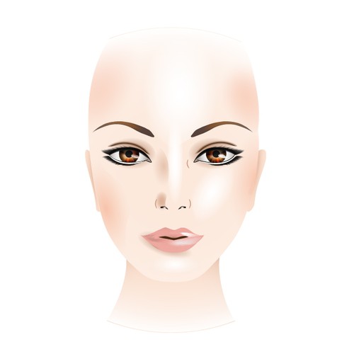 Makeup Facechart