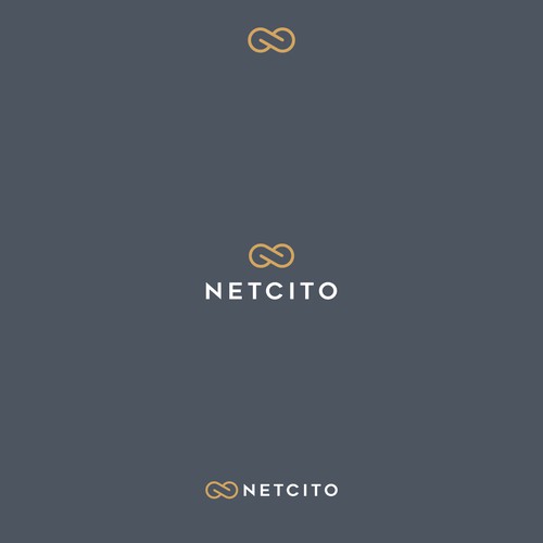 Netcito logo concept