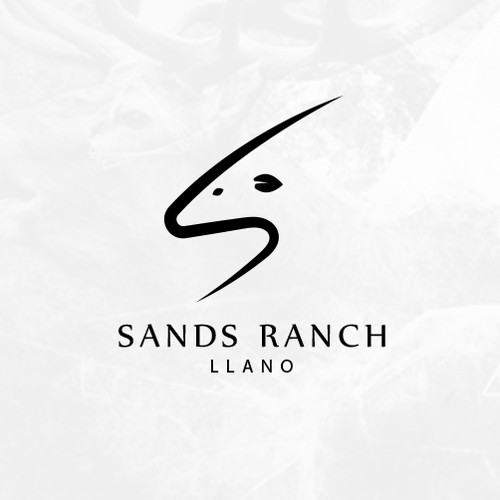 minimalist letter S  