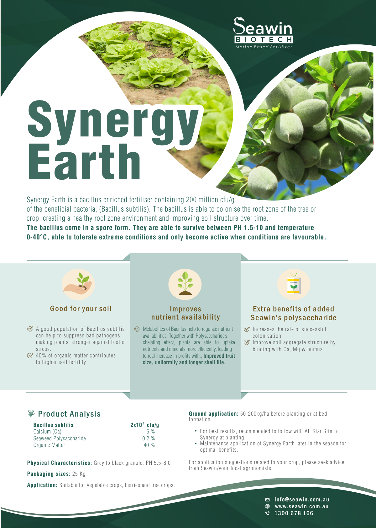 Flyers and labels