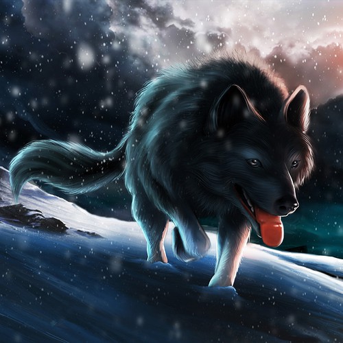 Wolf