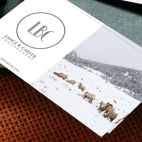 Card and Logo Design for Lance B Carter 