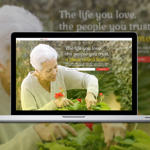 ElderNiche Landing page