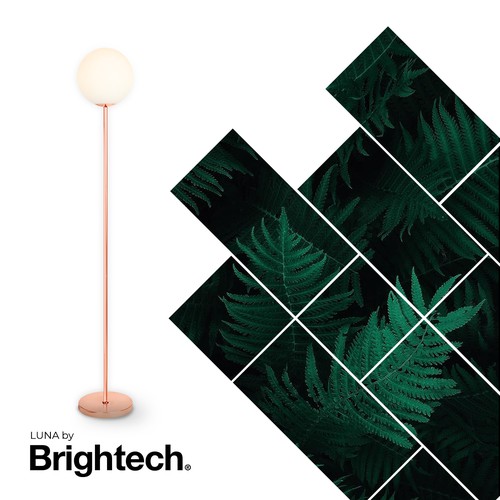 Banner ad for Brightech