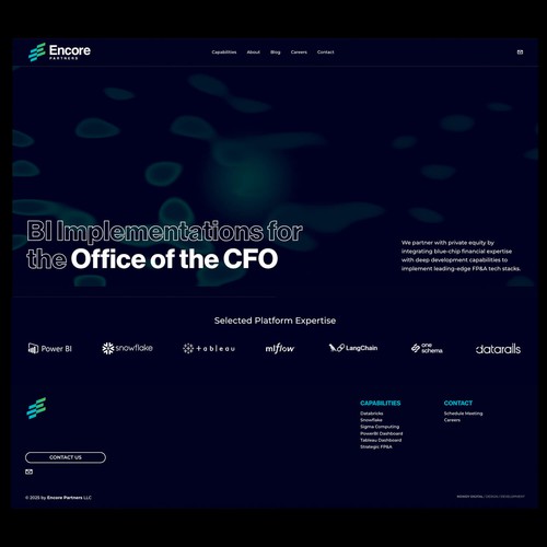 Custom Website Design / Custom Logo Design / Custom Animation