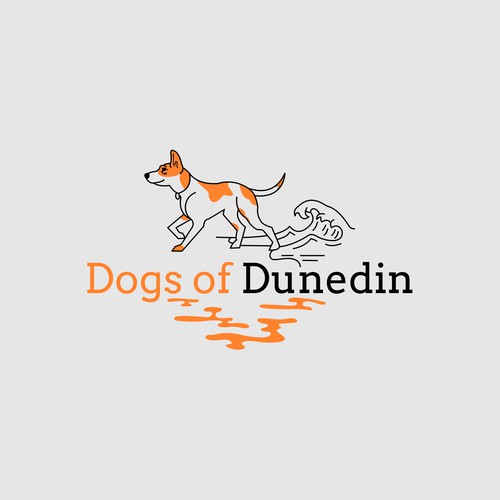 The Dogs of Dunedin