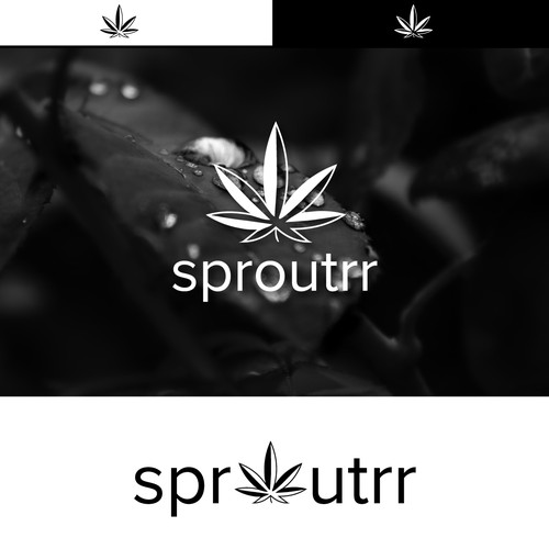 Logo for Sprotrr