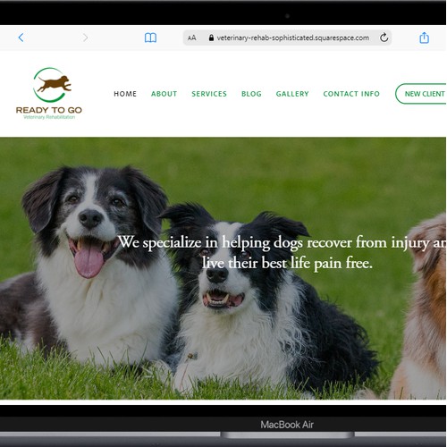 Ready To Go Veterinary Rehabilitation website