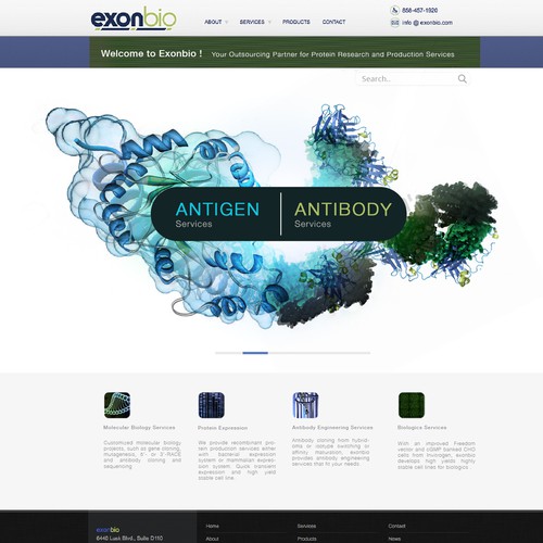 Home page concept for Exonbio