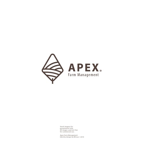 APEX \ Brand Logo