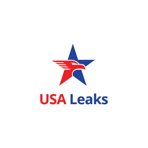 USA Leaks Logo