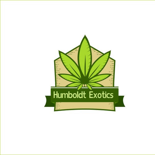 exotics logo