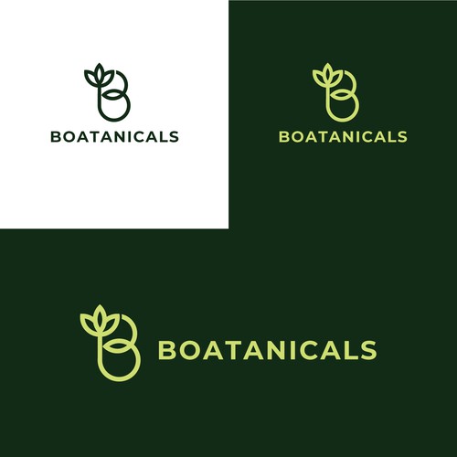 Letter B Botanical Logo