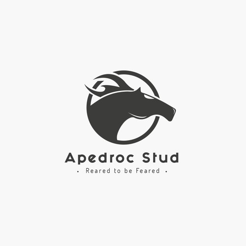 Apedroc Stud