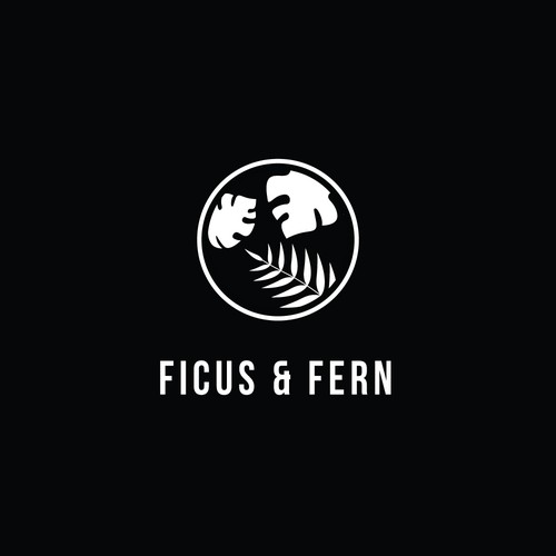Ficus and fern