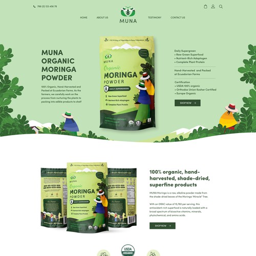 Design for company profile web